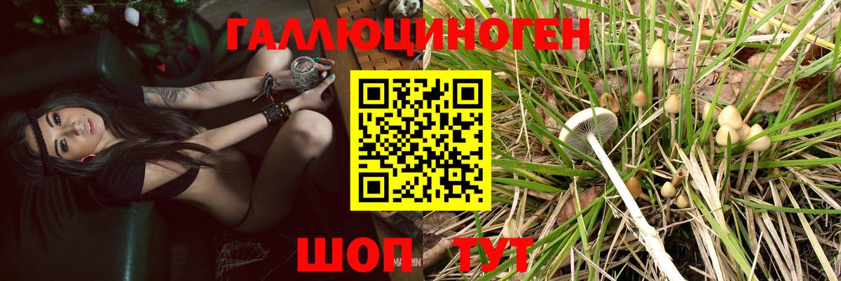 Псилоцибиновые грибы ЛСД Новоуральск